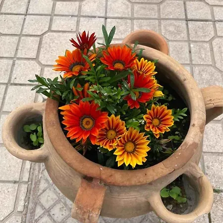 Vista Mare - Apartamento *