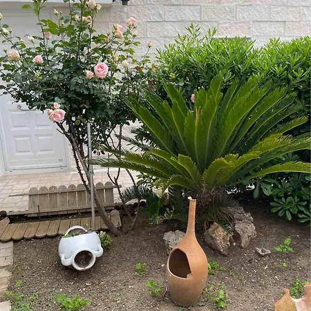 Vista Mare - Apartman *