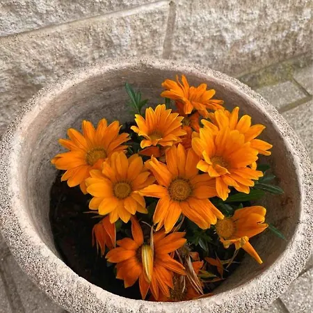 Vista Mare - * Taranto