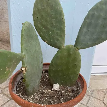 Vista Mare - Taranto